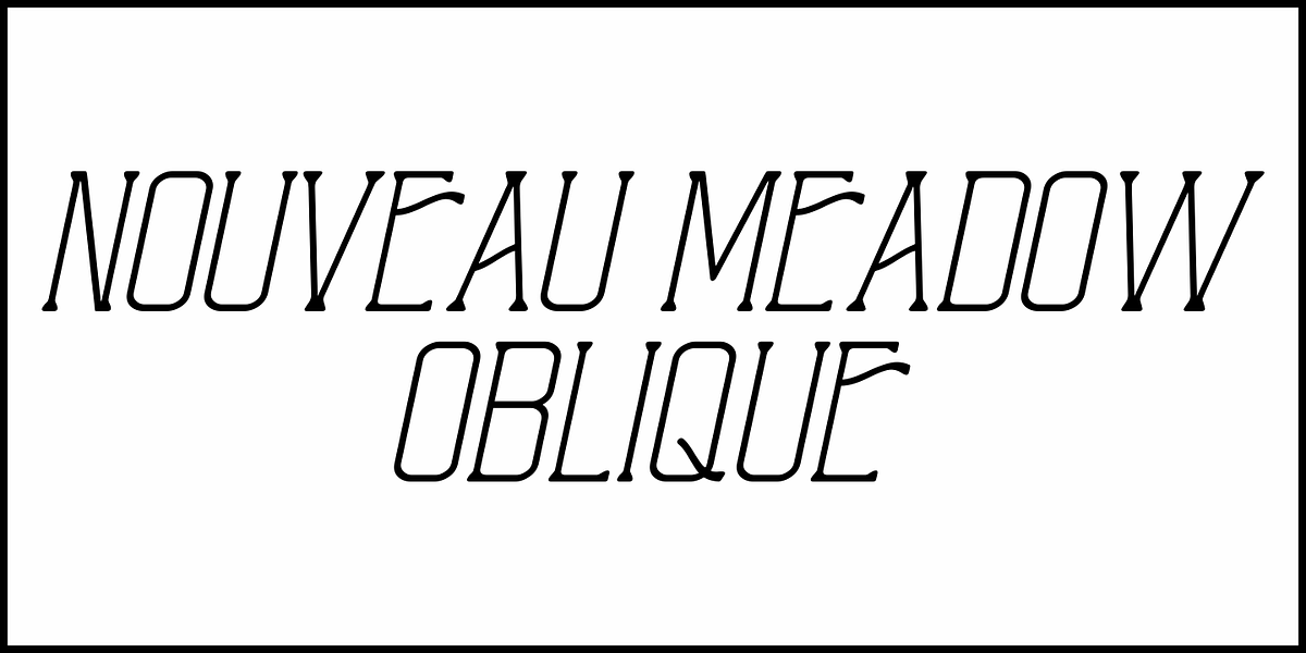 Nouveau Meadow JNL, a Serif Font by Jeff Levine Fonts (Photo 4 of 5)