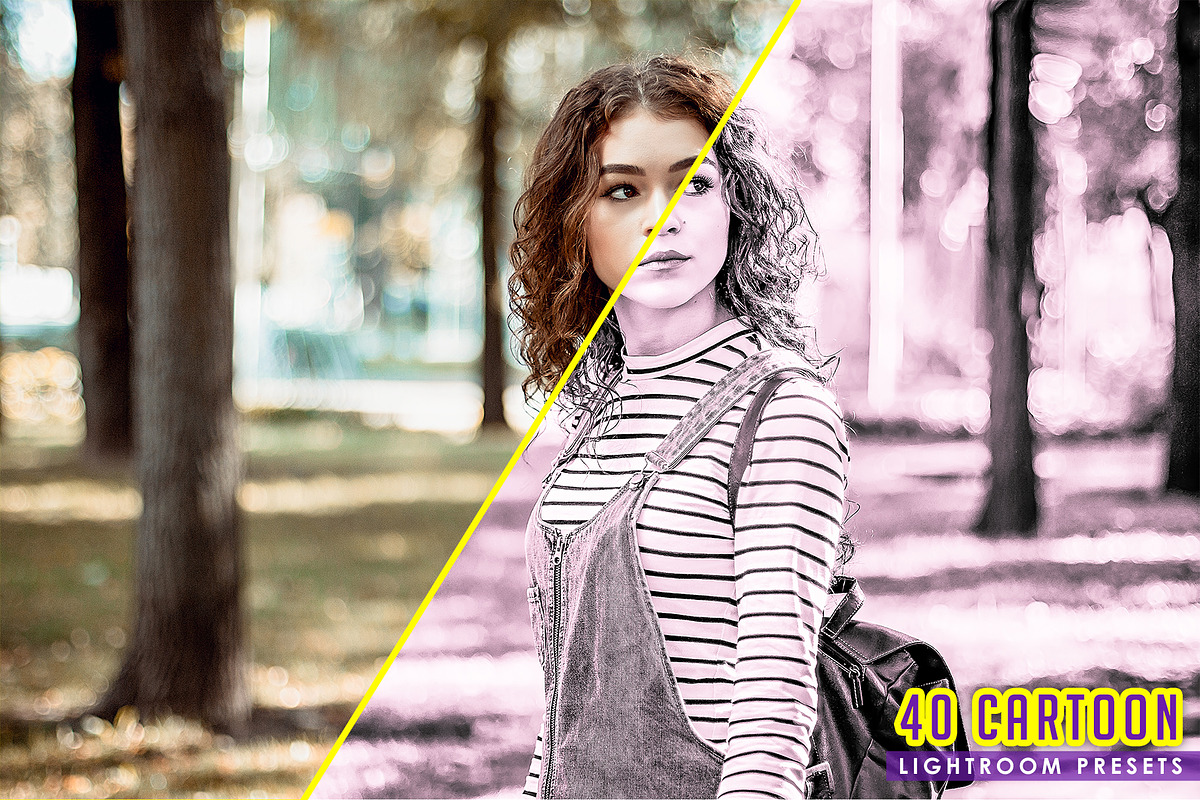 40 Cartoon Lightroom Presets, an Action Add-On by KnightWipers (Photo 5 of 5)