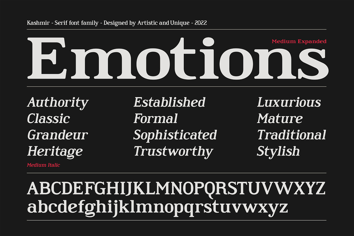 Kashmir - Serif font family, a Serif Font by Artistic & Unique (Photo 4 of 15)