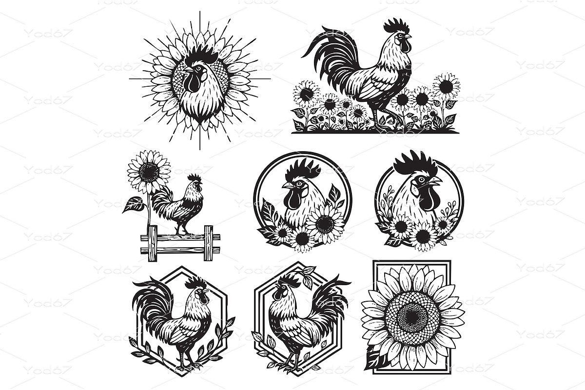 Collection of rooster and sunflower, an Animal Illustration by yod67