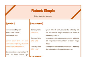 Simple Resume CV MS Word Template