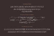 Shanell - Modern & Luxury Serif Font, a Serif Font by Typebae (Thumbnail 12 of 12)