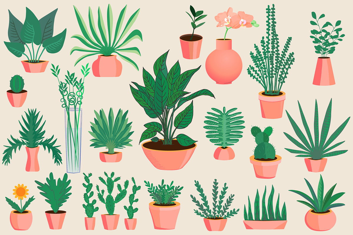20+ icons of home plants in pots, a Solid Icon by ОльгаМороз (Photo 3 of 14)