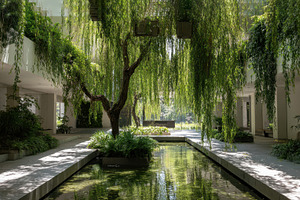 Greenery by tranquil water, a Photo by Beautiful things