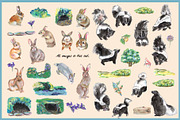Bunny & Skunk-Watercolor Clipart, an Animal Illustration by VianneArt (Thumbnail 2 of 8)