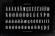 Rabiot | Modern Display Serif, a Sans Serif Font by gracetype_studio (Thumbnail 11 of 12)