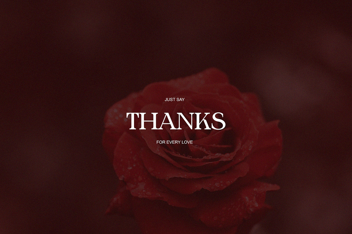 Billker Elegant Ligature Serif, a Serif Font by Alfinart (Photo 10 of 10)