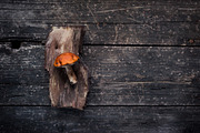 10 Dark tones presets for Lightroom, an Action Add-On by Elijah (Thumbnail 5 of 19)