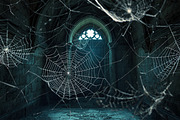 Spider Web Overlay Bundle, a Background Photo by M9 Design (Thumbnail 4 of 10)