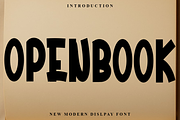OpenBook, a Script Font by FreshTypeINK (Thumbnail 1 of 7)