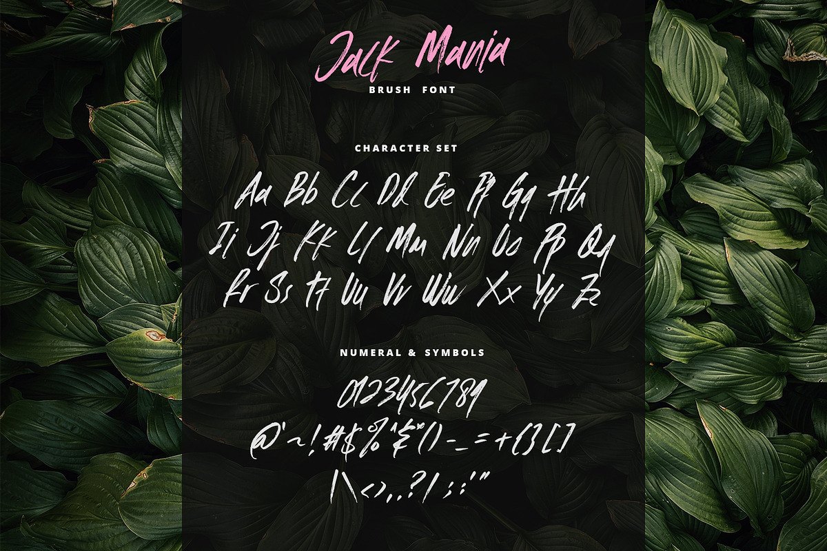 The JACK MANIA Brush Font preview 7