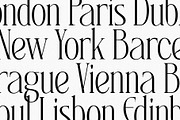 SLTF Rogue Rebellion - Ligature Font, a Serif Font by SilverStag Type Foundry (Thumbnail 23 of 30)