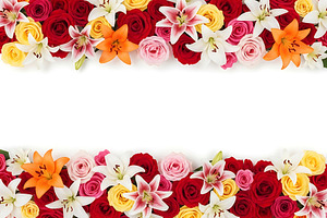 Vibrant floral border with roses, a Nature Photo by Artonix