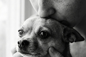 Woman Kissing Small Dog, an Animal Photo by Virgo Studio