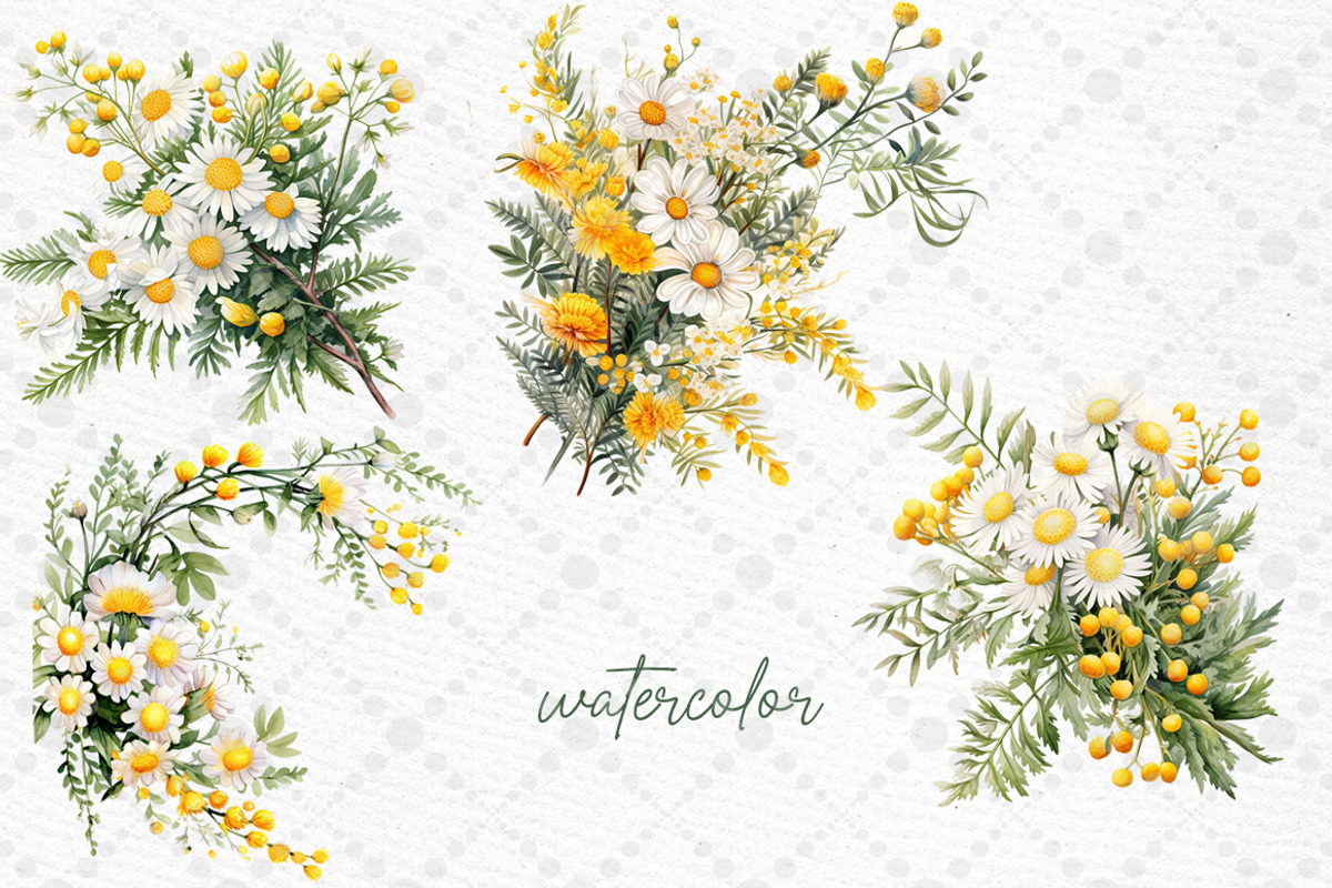 Mimosa Spring Flowers Clipart Daisy, a Decorative Illustration by LeCoqDesign (Photo 2 of 4)