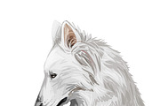 55 Dog Breeds Popular in USA, an Animal Illustration by Dneprstock (Thumbnail 2 of 14)