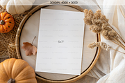 Autumn Pumpkins Invitation Mockup, an Advertising Mockup by TatiMockup (Thumbnail 2 of 4)