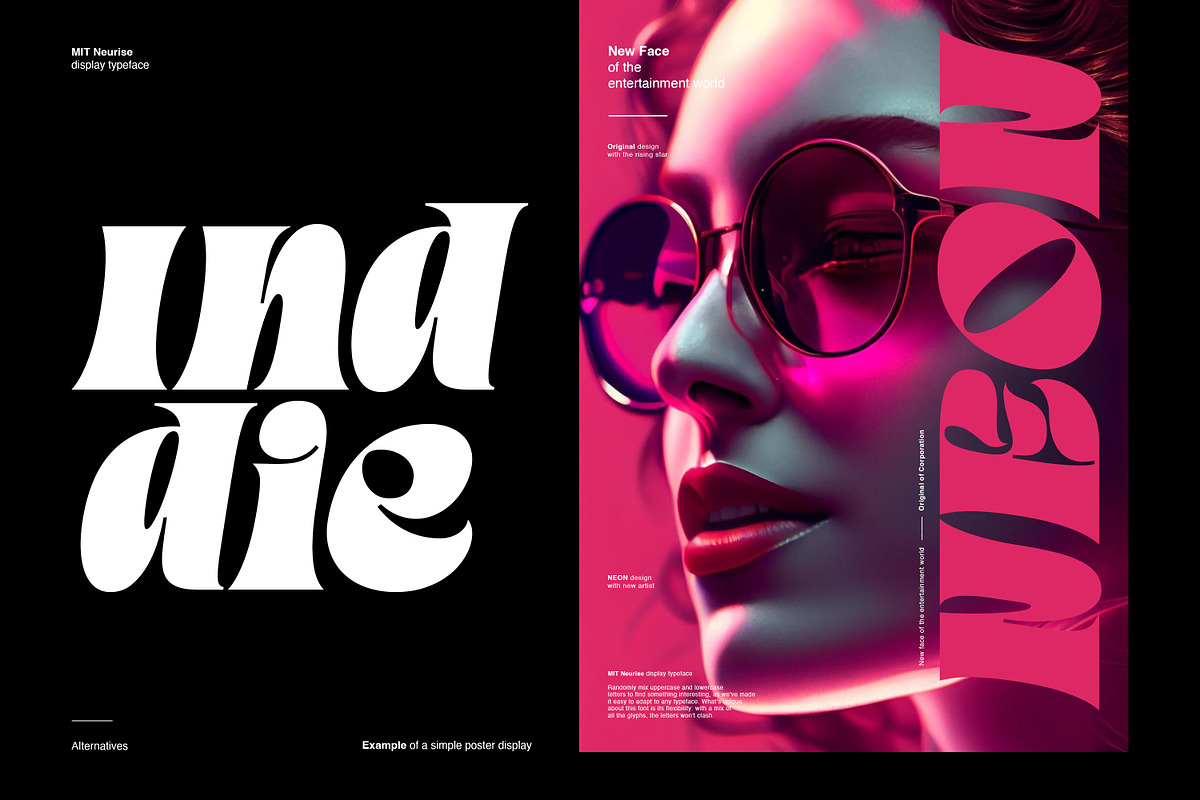 MIT Neurise, a Serif Font by Maculinc Type (Photo 7 of 12)