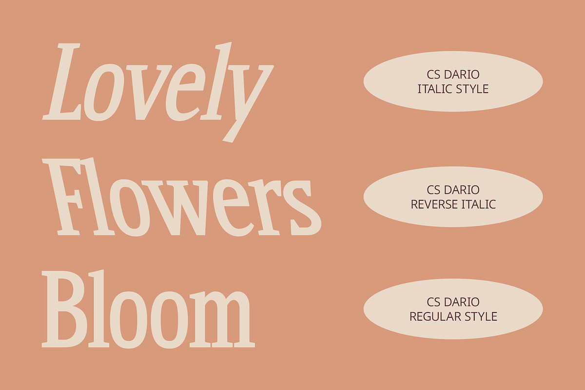 CS Dario – Bold Font, a Serif Font by Craft Supply Co. (Photo 2 of 8)
