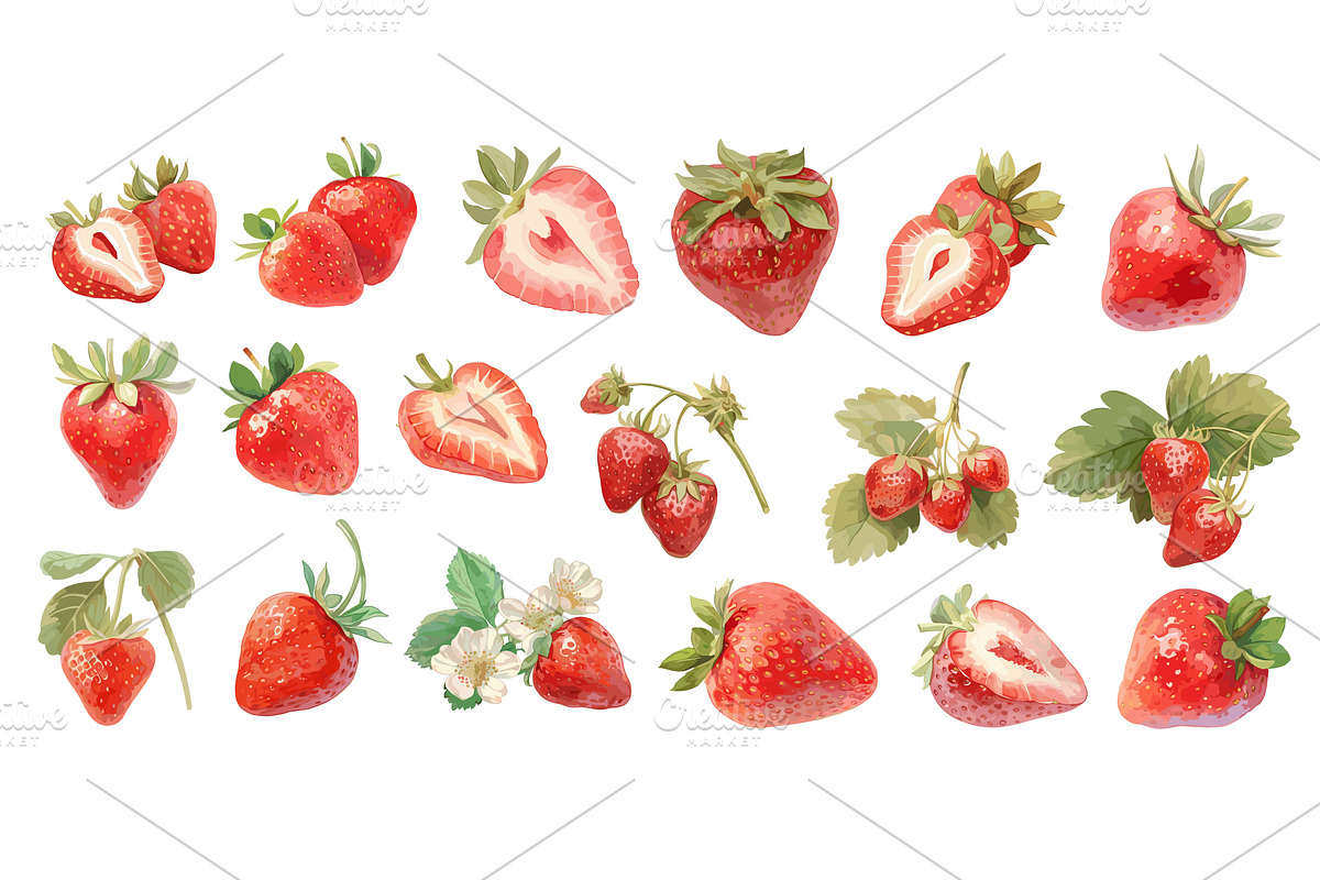 Watercolor strawberry. Fresh red, a Food Illustration by Stock-Smart-Start