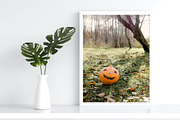 Rustic Pumpkin Garden, a Holiday Photo by pictures for you (Thumbnail 4 of 11)