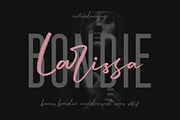 Larissa - Handwritten Font + Bonus, a Script Font by Craft Supply Co. (Thumbnail 1 of 10)
