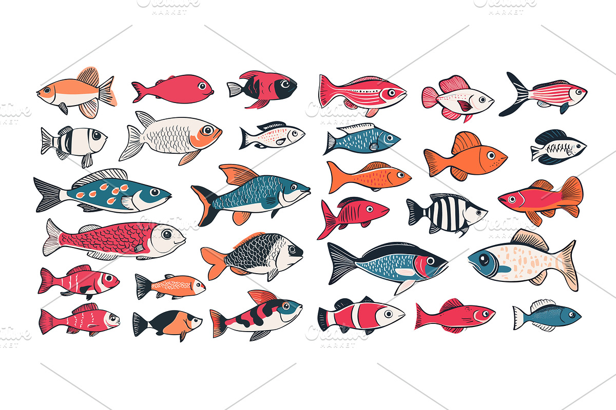 Marine fresh water fish cartoon, an Animal Illustration by Valerie Bodnar