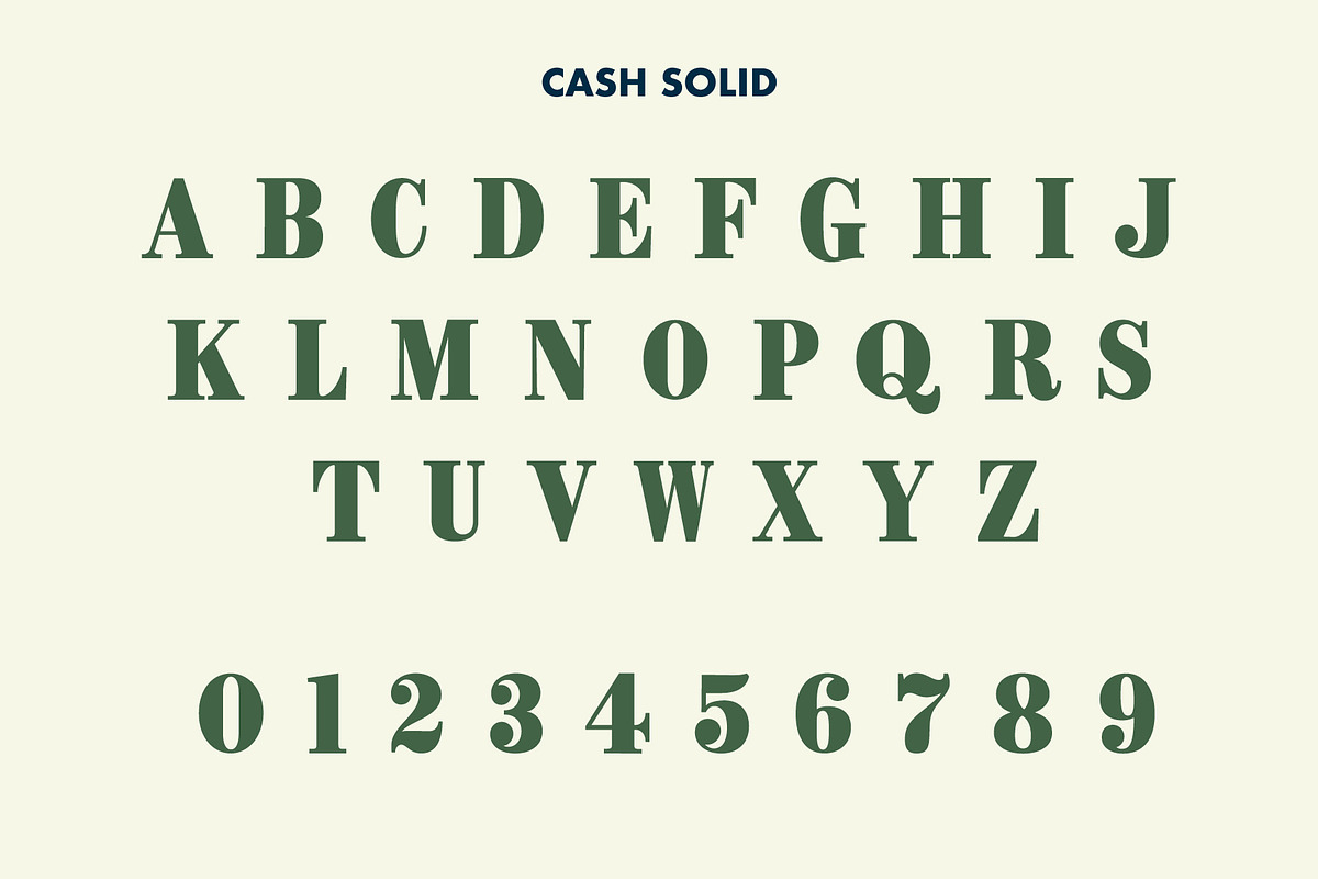 CASH, a Serif Font by Loudoun Design Co. (Photo 5 of 7)