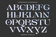 Bondist Display, a Serif Font by Fargun Studio (Thumbnail 3 of 24)