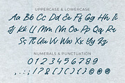 Algreda - Monoline Signature Font, a Script Font by Graha Type (Thumbnail 10 of 12)