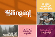 The HUGE Font Bundle (98% OFF) SALE, a Sans Serif Font by Salt & Pepper Designs (Thumbnail 14 of 185)