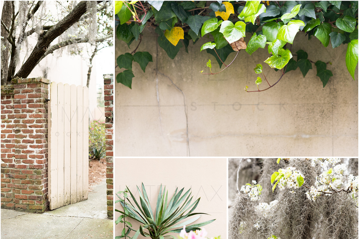 Spring in the City Stock Photo Bundl, a Mockup by Styled Stock House (Photo 3 of 5)