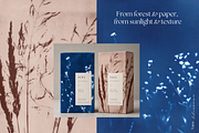 CYANOTYPE Botanical Backgrounds, a Background Graphic by Alisovna (Thumbnail 8 of 15)