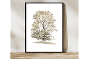 Vintage Tree Sketch Wall Art, a Decorative Illustration by Pink_bloom (Thumbnail 8 of 10)