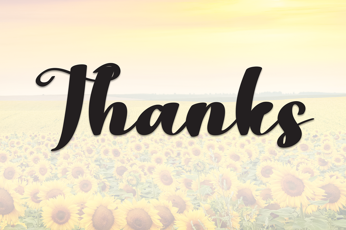 Sunflower | Script Font, a Handwritten Font by Scratchones (Photo 8 of 8)