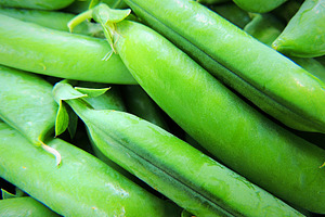 Pods of organic sweet peas.