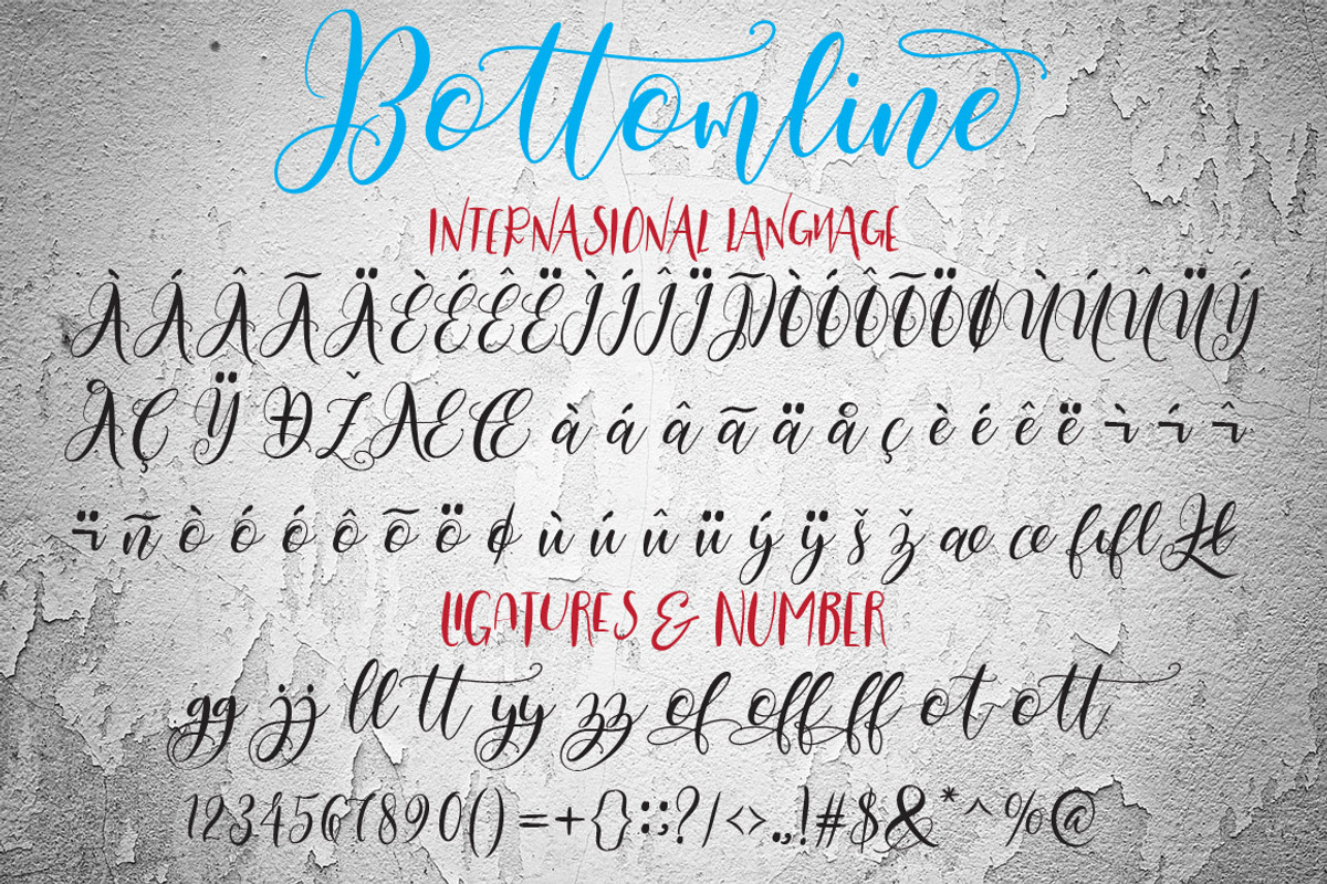 Bottomline, a Script Font by yanindesign (Photo 9 of 13)