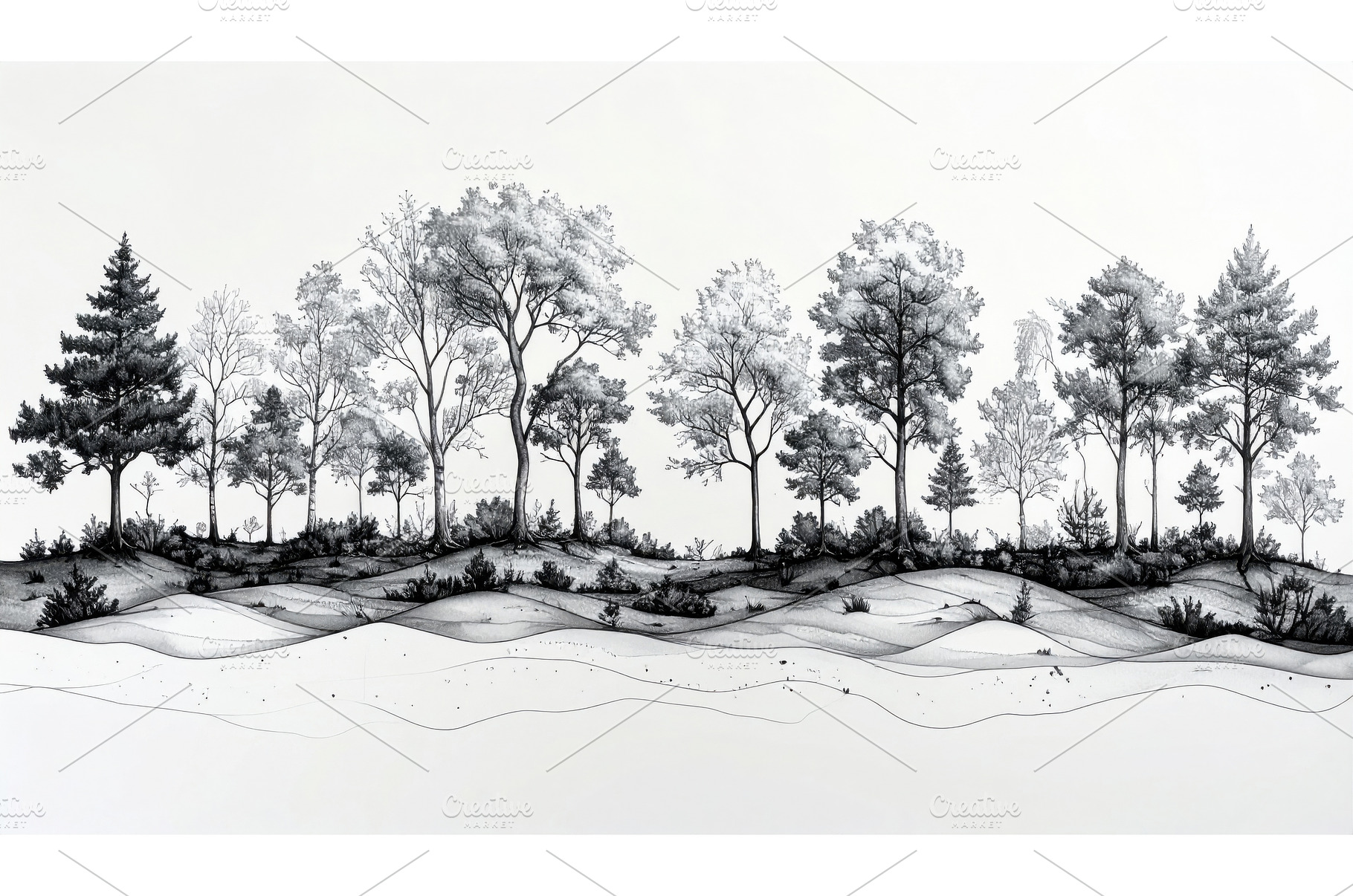 Hand drawn ink illustration showing, a Nature Photo by Igor Tichonow