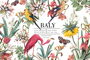 Baly | 2026 Pattern, a Pattern Graphic by Luiz da Rolt Grathwohl