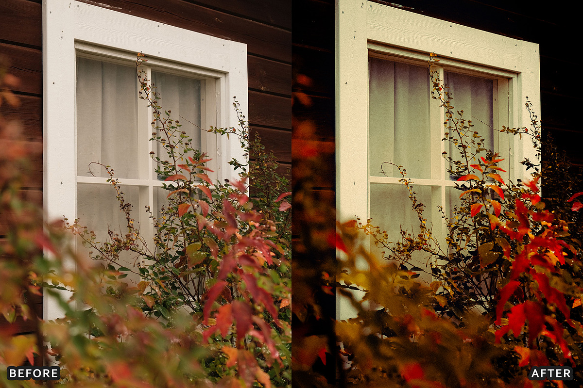 Misty Autumn Forest Presets, a Preset Add-On by AAA Presets (Photo 3 of 13)