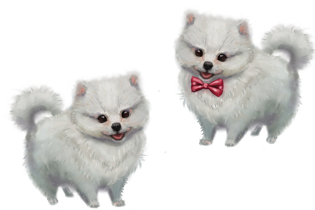 4 styles doggy pomeranian, an Illustration by art_mouse (Photo 4 of 4)