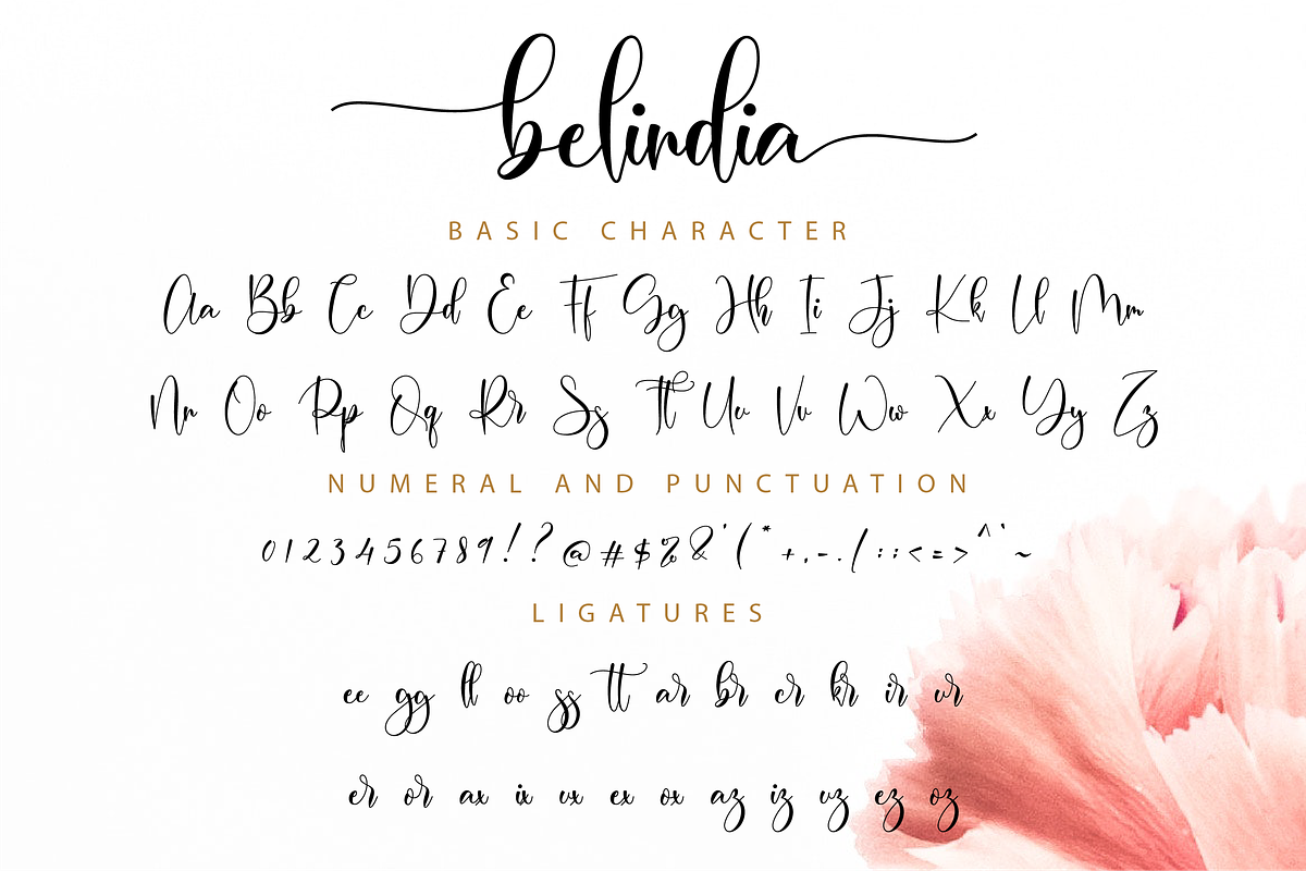 Belindia Script, a Script Font by Nissa Studio (Photo 11 of 12)