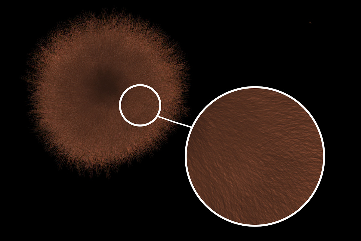 Animal Hair Brushes, a Brush Add-On by Velo Graphic Studio (Photo 3 of 7)
