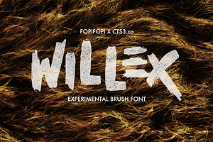 Sale ! 50% off Willex Brush Font, a Font by fopifopi