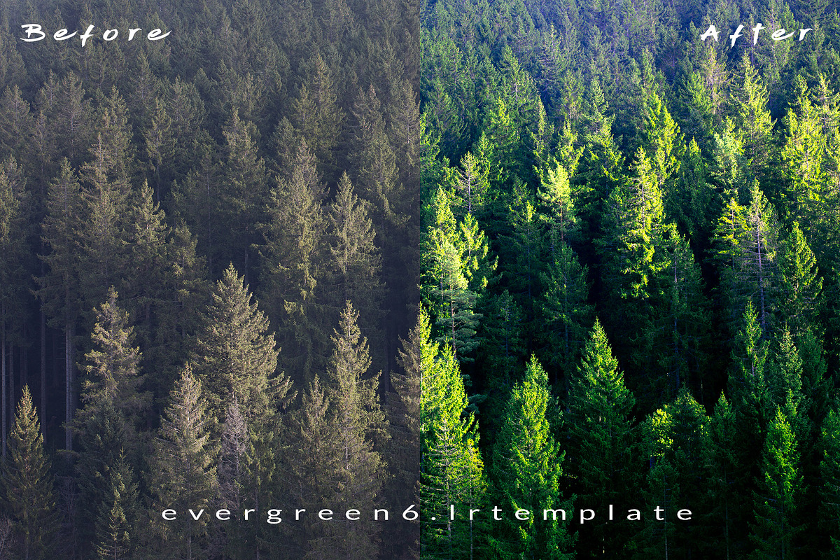 Ever Green 10 Lightroom Presets., an Action Add-On by MorningStar (Photo 2 of 11)