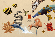 Vintage Vacay Collage: 90+ Elements, an Object Graphic by SHOOM HOUSE (Thumbnail 7 of 11)