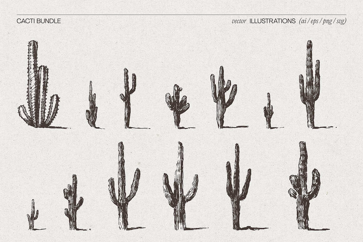Sketch Cacti Vector Bundle, a Seasonal Illustration by TheMountBirdStudio (Photo 7 of 14)