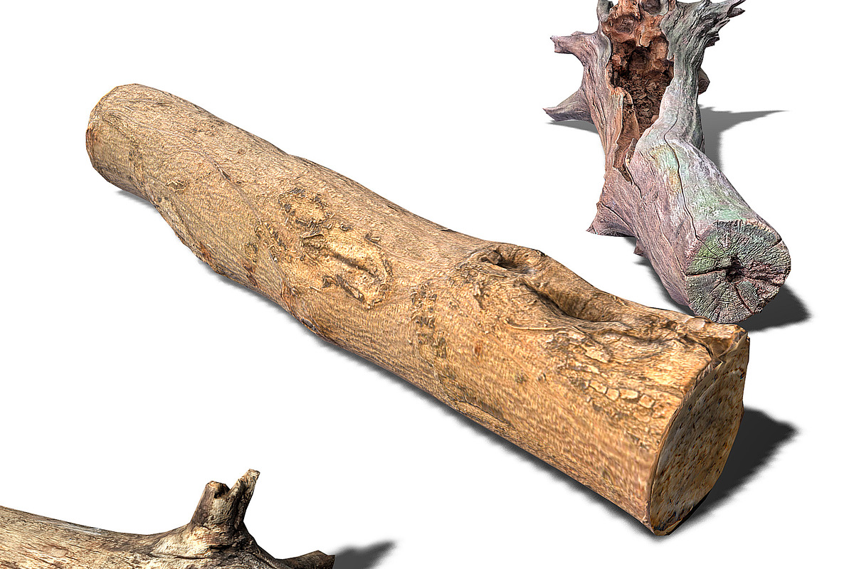 13 Tree Logs, an Environmental 3D Model by Beatheart Creative Studio (Photo 25 of 37)