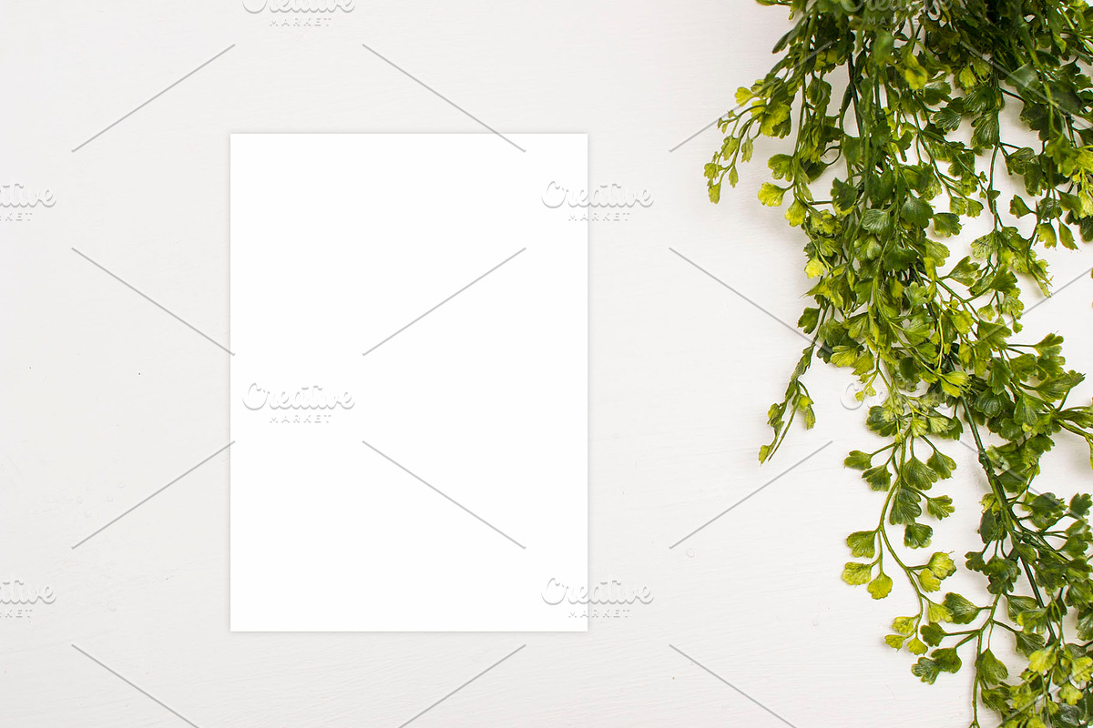 Modern Mockup, Clean Mockups, a Background Photo by BlueBooks (Photo 12 of 14)