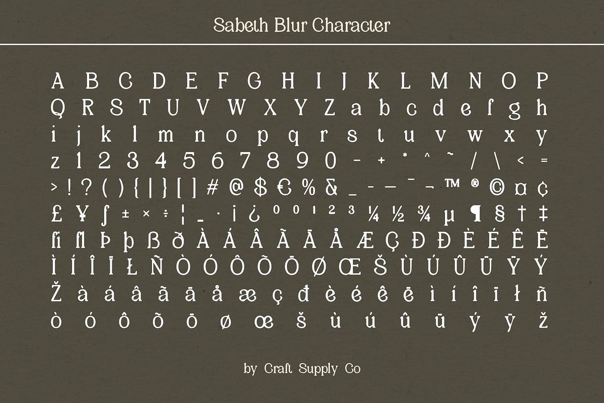 Sabeth Blur, a Serif Font by Craft Supply Co. (Photo 8 of 8)